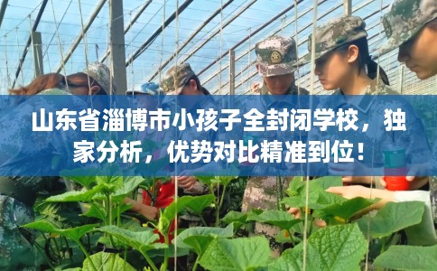 山东省淄博市小孩子全封闭学校,独家分析,优势对比精准到位! 山东省淄博市小孩子全封闭学校,独家分析,优势对比精准到位!