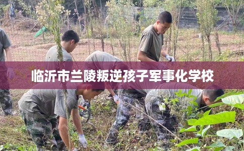 临沂市兰陵叛逆孩子军事化学校 临沂市兰陵叛逆孩子军事化学校