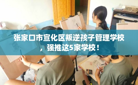 张家口市宣化区叛逆孩子管理学校，强推这5家学校！