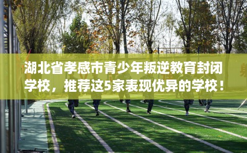 湖北省孝感市青少年叛逆教育封闭学校,推荐这5家表现优异的学校! 湖北省孝感市青少年叛逆教育封闭学校,推荐这5家表现优异的学校!