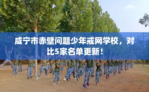 咸宁市赤壁问题少年戒网学校,对比5家名单更新! 咸宁市赤壁问题少年戒网学校,对比5家名单更新!