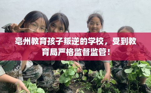 亳州教育孩子叛逆的学校,受到教育局严格监督监管! 亳州教育孩子叛逆的学校,受到教育局严格监督监管!