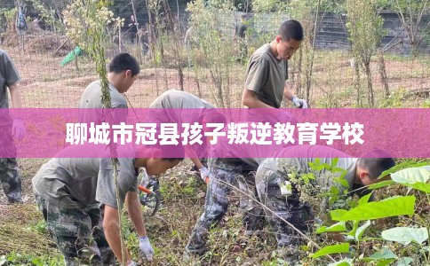 聊城市冠县孩子叛逆教育学校 聊城市冠县孩子叛逆教育学校