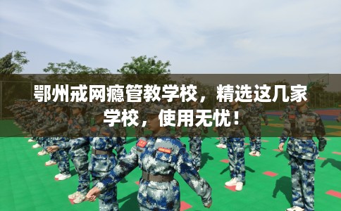 鄂州戒网瘾管教学校,精选这几家学校,使用无忧! 鄂州戒网瘾管教学校,精选这几家学校,使用无忧!