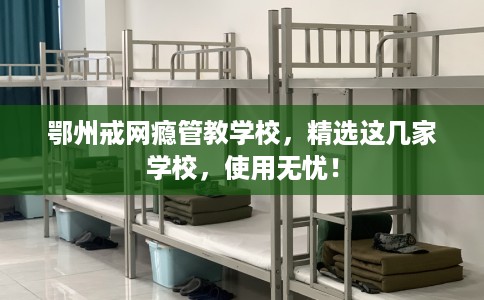 鄂州戒网瘾管教学校,精选这几家学校,使用无忧! 鄂州戒网瘾管教学校,精选这几家学校,使用无忧!