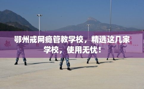 鄂州戒网瘾管教学校,精选这几家学校,使用无忧! 鄂州戒网瘾管教学校,精选这几家学校,使用无忧!