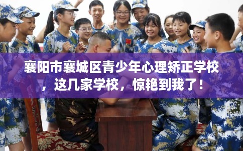 襄阳市襄城区青少年心理矫正学校,这几家学校,惊艳到我了! 襄阳市襄城区青少年心理矫正学校,这几家学校,惊艳到我了!