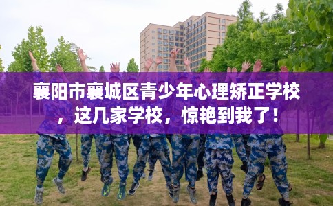 襄阳市襄城区青少年心理矫正学校,这几家学校,惊艳到我了! 襄阳市襄城区青少年心理矫正学校,这几家学校,惊艳到我了!