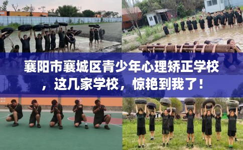 襄阳市襄城区青少年心理矫正学校,这几家学校,惊艳到我了! 襄阳市襄城区青少年心理矫正学校,这几家学校,惊艳到我了!