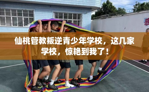 仙桃管教叛逆青少年学校,这几家学校,惊艳到我了! 仙桃管教叛逆青少年学校,这几家学校,惊艳到我了!