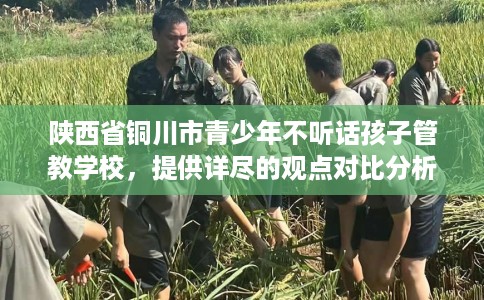 陕西省铜川市青少年不听话孩子管教学校，提供详尽的观点对比分析！