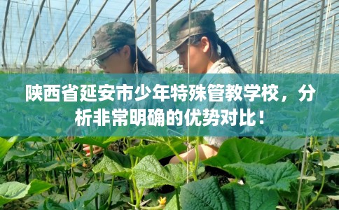 陕西省延安市少年特殊管教学校，分析非常明确的优势对比！