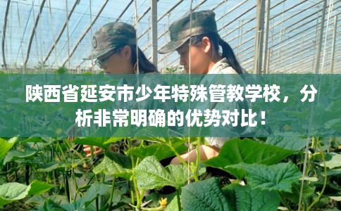 陕西省延安市少年特殊管教学校，分析非常明确的优势对比！