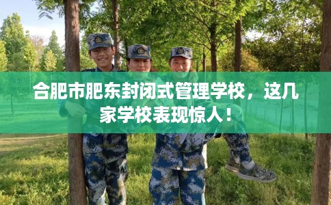 合肥市肥东封闭式管理学校，这几家学校表现惊人！