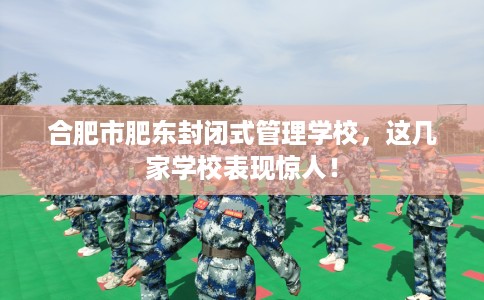 合肥市肥东封闭式管理学校，这几家学校表现惊人！