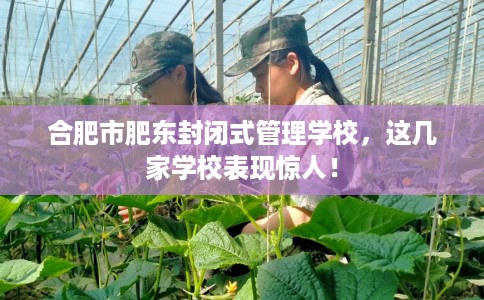 合肥市肥东封闭式管理学校，这几家学校表现惊人！