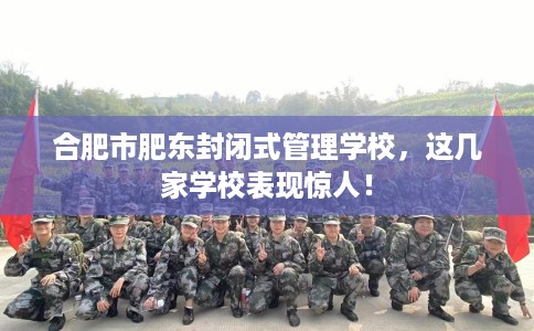 合肥市肥东封闭式管理学校，这几家学校表现惊人！