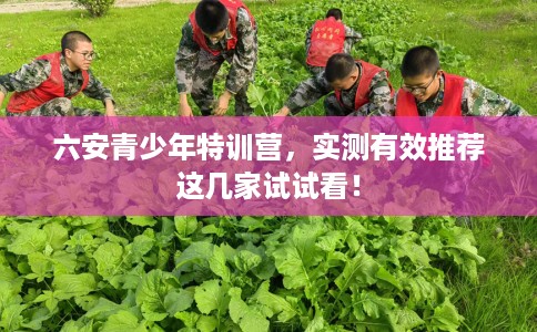 六安青少年特训营,实测有效推荐这几家试试看! 六安青少年特训营,实测有效推荐这几家试试看!