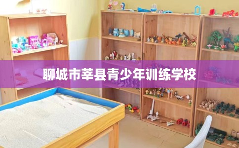 聊城市莘县青少年训练学校 聊城市莘县青少年训练学校