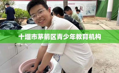 十堰市茅箭区青少年教育机构 十堰市茅箭区青少年教育机构