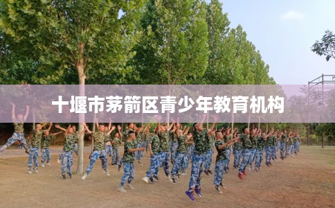 十堰市茅箭区青少年教育机构 十堰市茅箭区青少年教育机构