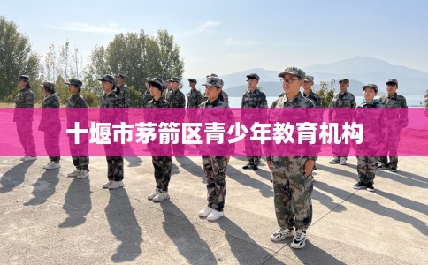 十堰市茅箭区青少年教育机构 十堰市茅箭区青少年教育机构