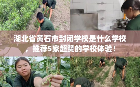 湖北省黄石市封闭学校是什么学校,推荐5家超赞的学校体验! 湖北省黄石市封闭学校是什么学校,推荐5家超赞的学校体验!