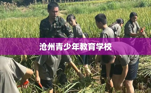 沧州青少年教育学校 沧州青少年教育学校