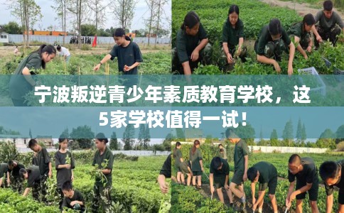 宁波叛逆青少年素质教育学校,这5家学校值得一试! 宁波叛逆青少年素质教育学校,这5家学校值得一试!
