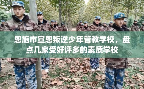 恩施市宣恩叛逆少年管教学校，盘点几家受好评多的素质学校