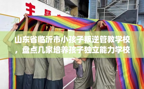 山东省临沂市小孩子叛逆管教学校,盘点几家培养孩子独立能力学校! 山东省临沂市小孩子叛逆管教学校,盘点几家培养孩子独立能力学校!
