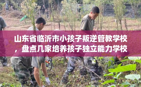 山东省临沂市小孩子叛逆管教学校,盘点几家培养孩子独立能力学校! 山东省临沂市小孩子叛逆管教学校,盘点几家培养孩子独立能力学校!