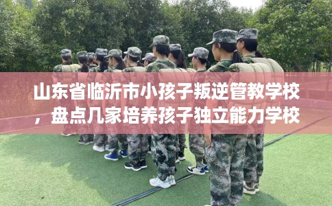 山东省临沂市小孩子叛逆管教学校,盘点几家培养孩子独立能力学校! 山东省临沂市小孩子叛逆管教学校,盘点几家培养孩子独立能力学校!