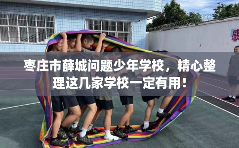 枣庄市薛城问题少年学校,精心整理这几家学校一定有用! 枣庄市薛城问题少年学校,精心整理这几家学校一定有用!