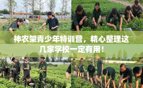 神农架青少年特训营,精心整理这几家学校一定有用! 神农架青少年特训营,精心整理这几家学校一定有用!