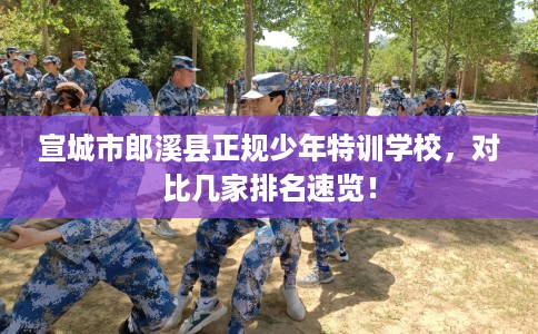 宣城市郎溪县正规少年特训学校，对比几家排名速览！