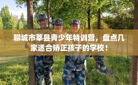 聊城市莘县青少年特训营,盘点几家适合矫正孩子的学校! 聊城市莘县青少年特训营,盘点几家适合矫正孩子的学校!