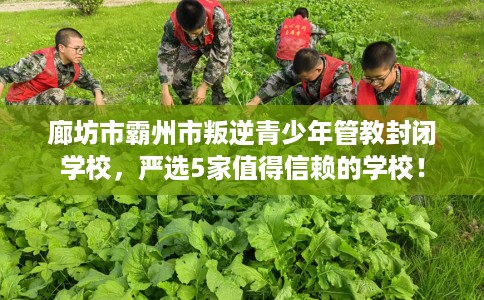 廊坊市霸州市叛逆青少年管教封闭学校,严选5家值得信赖的学校! 廊坊市霸州市叛逆青少年管教封闭学校,严选5家值得信赖的学校!