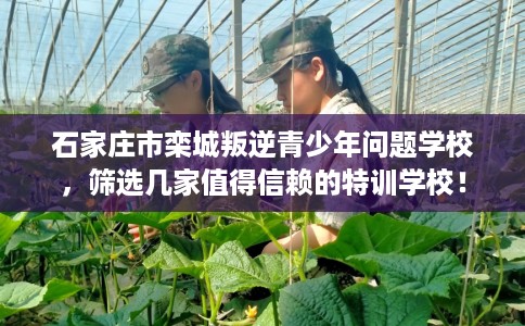石家庄市栾城叛逆青少年问题学校,筛选几家值得信赖的特训学校! 石家庄市栾城叛逆青少年问题学校,筛选几家值得信赖的特训学校!