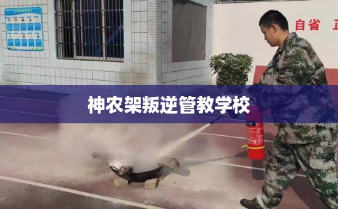 神农架叛逆管教学校 神农架叛逆管教学校