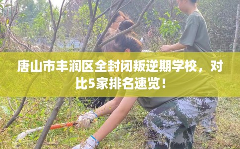 唐山市丰润区全封闭叛逆期学校,对比5家排名速览! 唐山市丰润区全封闭叛逆期学校,对比5家排名速览!