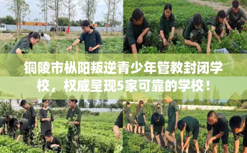 铜陵市枞阳叛逆青少年管教封闭学校,权威呈现5家可靠的学校! 铜陵市枞阳叛逆青少年管教封闭学校,权威呈现5家可靠的学校!