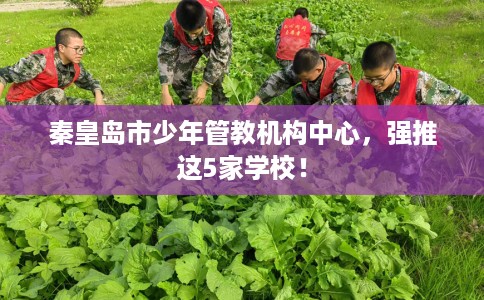 秦皇岛市少年管教机构中心,强推这5家学校! 秦皇岛市少年管教机构中心,强推这5家学校!