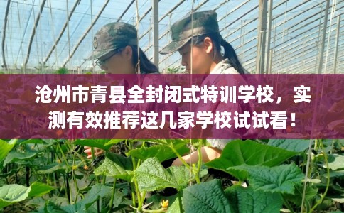 沧州市青县全封闭式特训学校,实测有效推荐这几家学校试试看! 沧州市青县全封闭式特训学校,实测有效推荐这几家学校试试看!