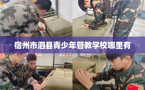 宿州市泗县青少年管教学校哪里有 宿州市泗县青少年管教学校哪里有