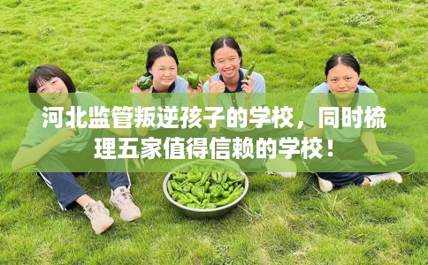 河北监管叛逆孩子的学校,同时梳理五家值得信赖的学校! 河北监管叛逆孩子的学校,同时梳理五家值得信赖的学校!