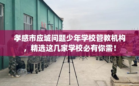 孝感市应城问题少年学校管教机构,精选这几家学校必有你需! 孝感市应城问题少年学校管教机构,精选这几家学校必有你需!