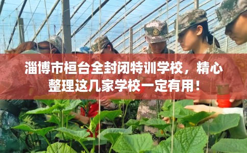 淄博市桓台全封闭特训学校,精心整理这几家学校一定有用! 淄博市桓台全封闭特训学校,精心整理这几家学校一定有用!