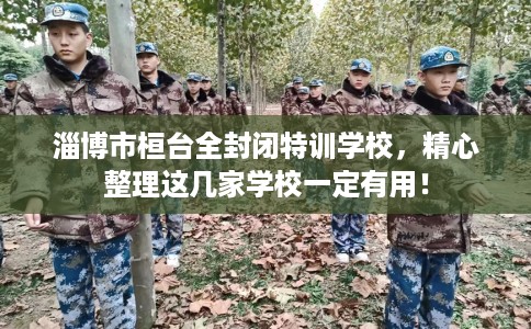 淄博市桓台全封闭特训学校,精心整理这几家学校一定有用! 淄博市桓台全封闭特训学校,精心整理这几家学校一定有用!