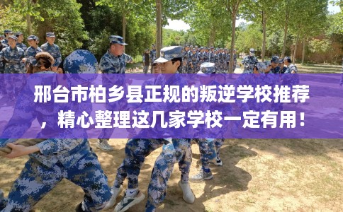 邢台市柏乡县正规的叛逆学校推荐,精心整理这几家学校一定有用! 邢台市柏乡县正规的叛逆学校推荐,精心整理这几家学校一定有用!